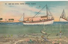 Cartolina deep sea - cartolina,