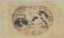 Rare Photograph Business Cards