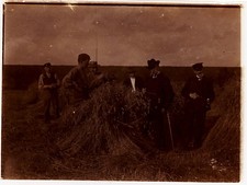 Fotografie,gebräunt,Weizenern