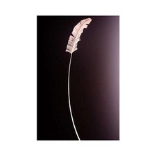 PIUMA DI STRUZZO PICCOLA