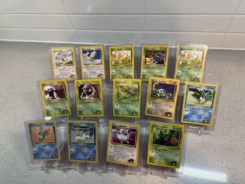 Pokemon sfida palestra 2000 - sfida,