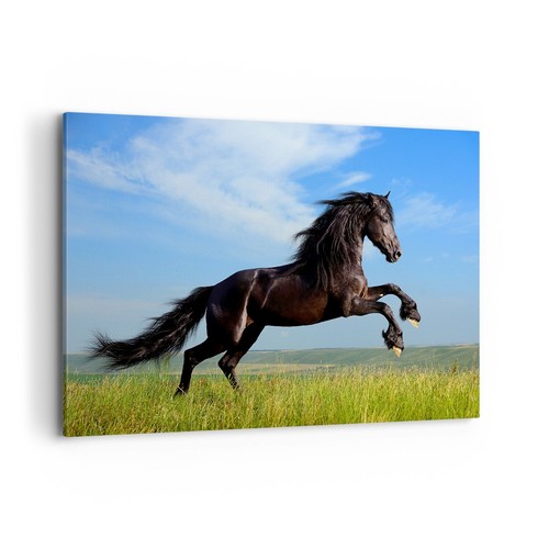 Quadro tela 120x80cm - quadro,