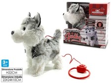 x Spike Tenero Cucciolo