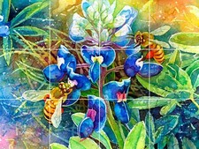 Spring Breeze api iris fiore