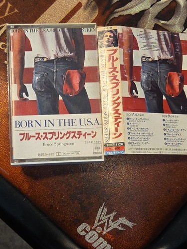 Bruce springsteen born the - born,