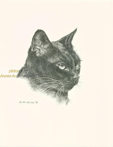 118 gatto birmano nero - #118, *