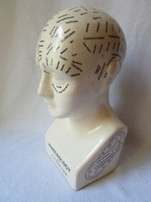 Phrenology Head Testa