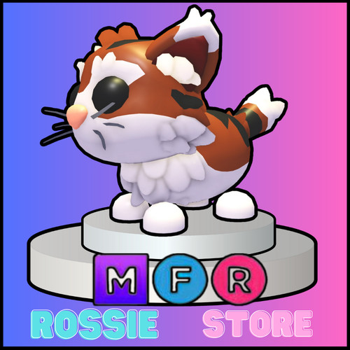 Mfr gatto munchkin - munchkin,