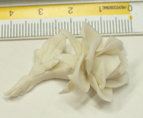Bellissima rosa finissima - in,