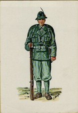 200000M CARTOLINA SERIE