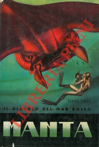 Hass hans manta il - hass,