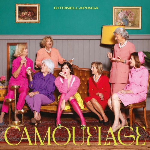 Ditonellapiaga camouflage - ditonellapiaga,
