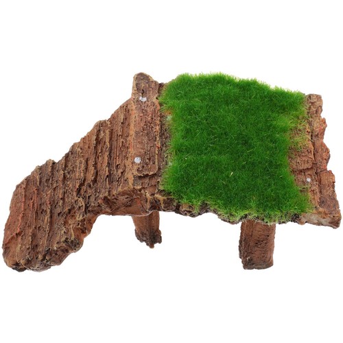 Terrazza per tartarughe