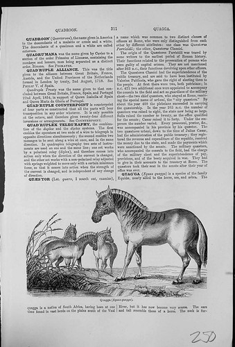 Antica vecchia stampa quagga - antica,
