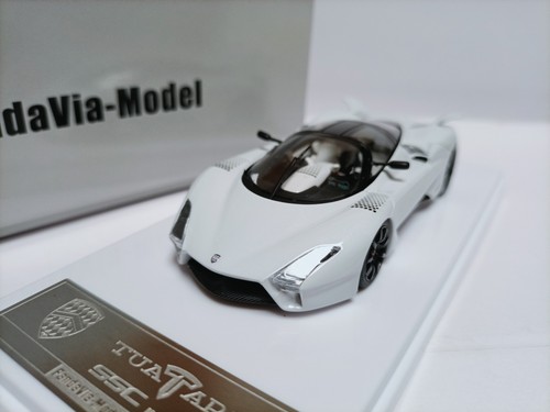 Pandavia silbet lizard - 1:43,