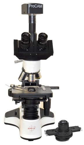 Microscopio contrasto di - a,