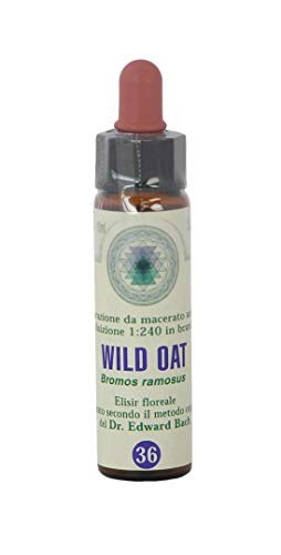 Wild oat princeps - nr., fiori