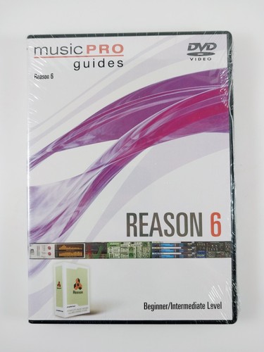 Reason beginner - 6,