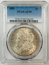 1893 P Morgan dollaro