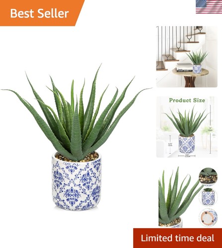 Pianta aloe vera finta - vera,