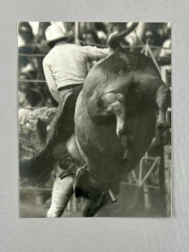 Vintage black white rodeo - vintage,