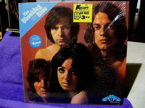 The shocking blue nmint - shocking,