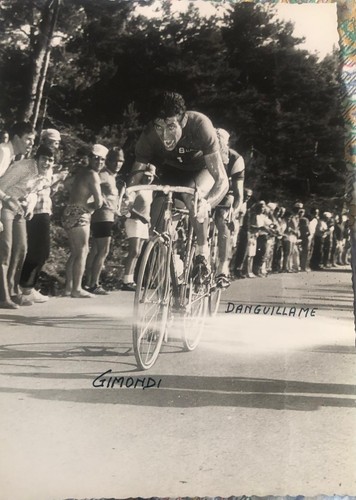 Cycling gimondi campionato - -,