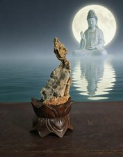 #11057.Bonsai di Suiseki