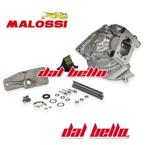 Carter malossi one - malossi, piaggio