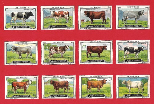 Poster stamps cows - cows, vaches