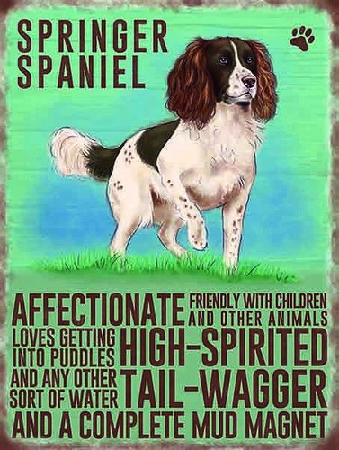 Springer spaniel insegna - spaniel,,