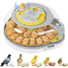 Incubatrice per uova Smart 26