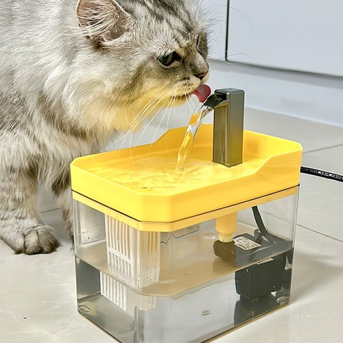 Fontana acqua gatto - gatto, automatica