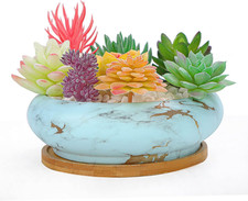 Vasi per Piante Grasse, 18,5