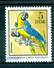 1975 Blue-and-yellow macaw