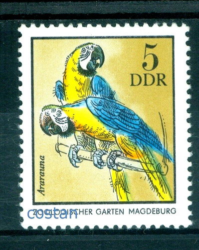 1975 pappagallo ara blu - blu, e