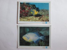 2 Cartoline ACQUARIO GENOVA