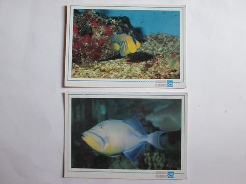 Cartoline acquario genova - 2,