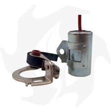 Puntine platinate - , e