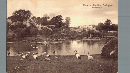 Roma giardino zoologico - giardino,