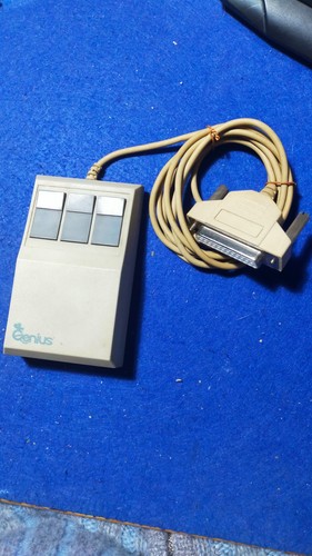 Mouse genius model - mouse,
