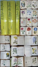 DIZIONARIO ILLUSTRATO DEI