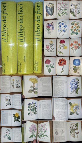 Dizionario illustrato dei - dizionario,