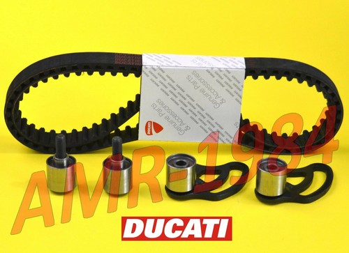 Cinghie distribuzione 4 - +,