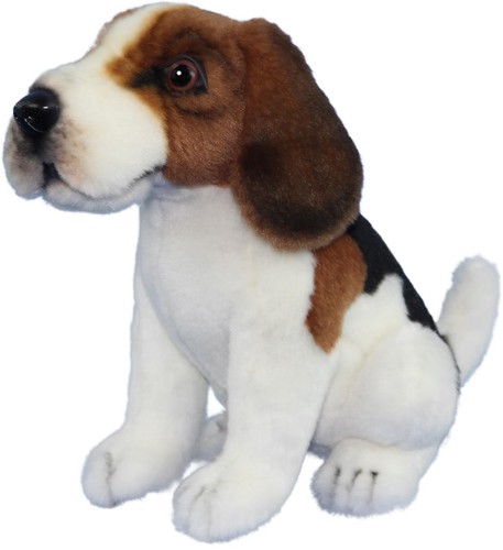 Bh8420 hansa beagle 15 - tc,