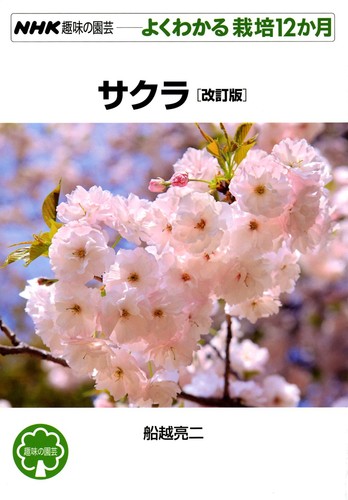Sakura edizione rivista nhk - edizione,