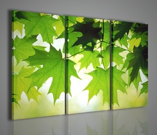 QUADRI MODERNI NATURALLY