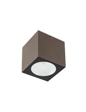 LED Outdoor Ceiling Light