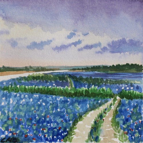 Paesaggio texas dipinto - texas,