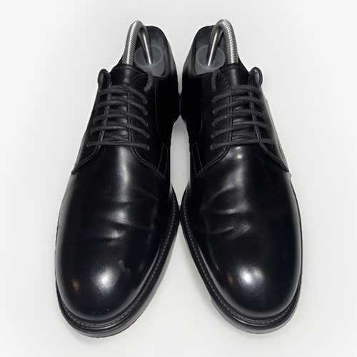 Scarpe stringate tod uomo - stringate,